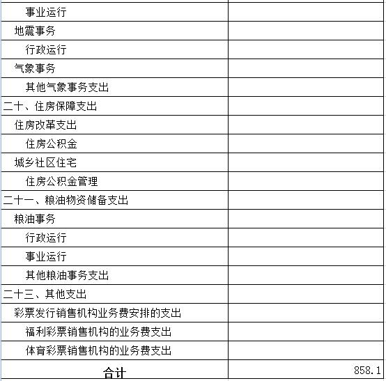 一般公共预算支出表10.jpg